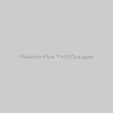 Image of Phalloidin-iFluor™ 405 Conjugate
